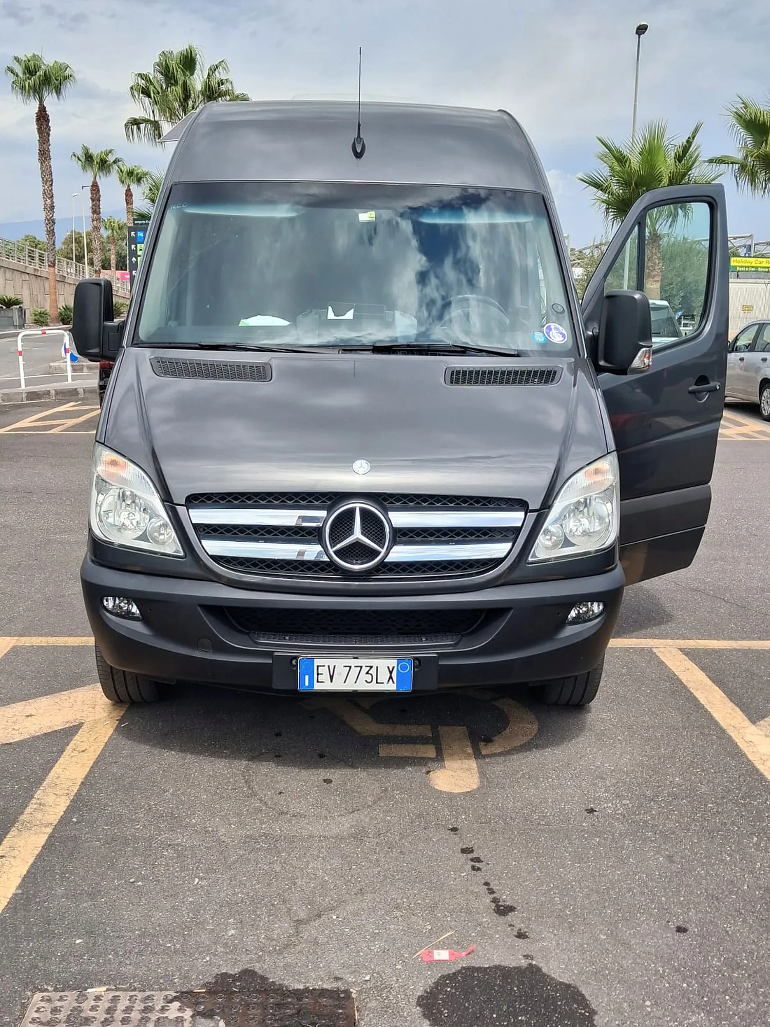 Lo Sprinter grigio scuro visto di fronte, con la portiera aperta, fra le palme